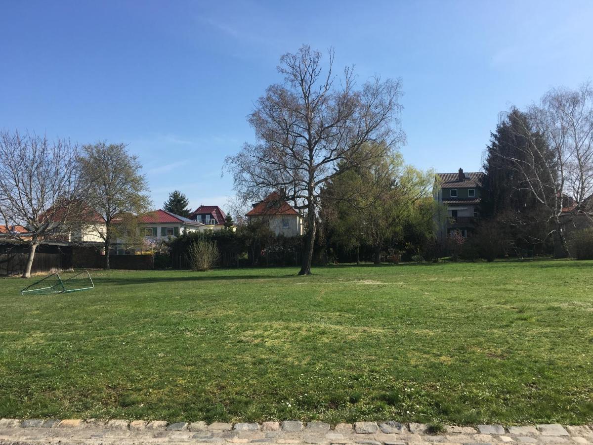 Apartment Senfbude - Schoene, Ebenerdige 2-raum-apartments Mit Stellplatz Und Terrasse *